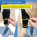 rear leg brace for dogs