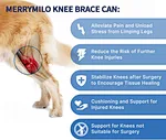 ccl brace for dogs