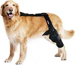 The dog knee brace comes with a harness and an adjustable connecting strap. Our rear leg braces for dogs can improve oxygen delivery while reducing inflammation to further support and speed up recovery all while relieving your pet from discomfort.